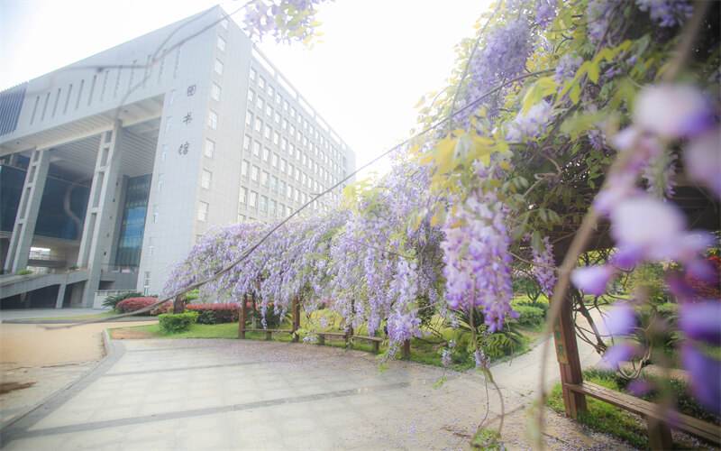 江西現代職業技術學院職教高考